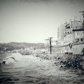 shoreline with cathedral