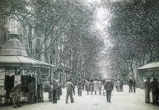 Passeig del Born, Palma
