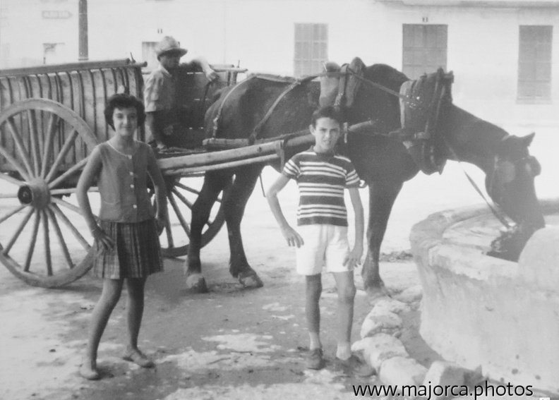 horse-drawn wagon. a traditional form of transportation that was widely used before the advent of motorized vehicles. The carriage or wagon is pulled by one or more horses and is typically used to carry people or goods. 20170607_124655~2.jpg