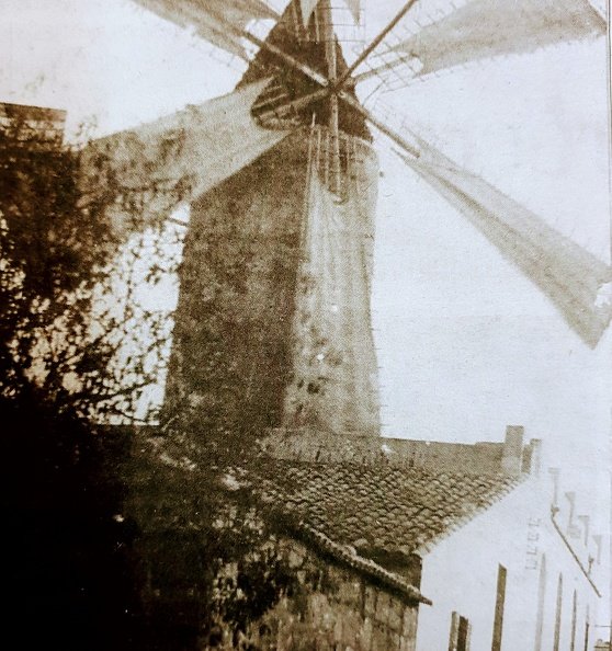The windmills of Majorca are iconic structures that have come to symbolize the rich agricultural history of the Balearic Islands. Dating back to as early as the 17th century, these windmills were primarily used for milling grain and pumping water for irrigation, essential functions in the arid Mediterranean climate. 20190210_085141~2.jpg