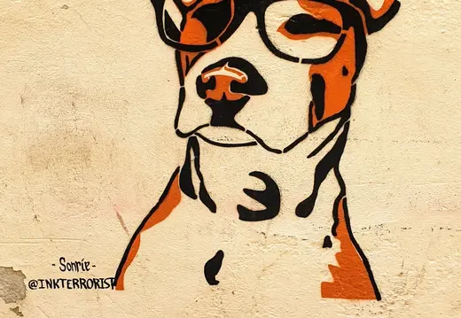 Perro con gafas de InkTerrorist en Palma
