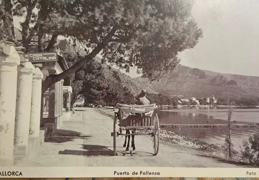 MALLORCA - Puerto de Pollensa