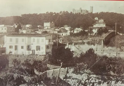 Bellver from Son Armadans, Palma