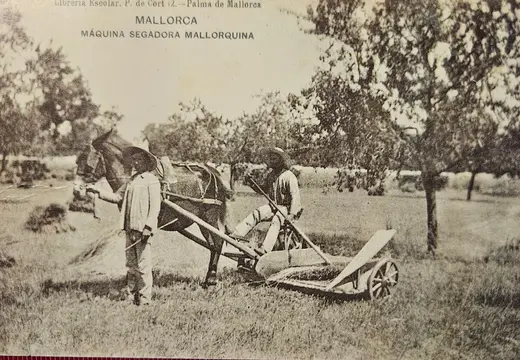Segadora mallorquina, ca. 1904