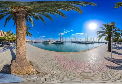 Passeggiata fiancheggiata da palme a Cala Nova Marina