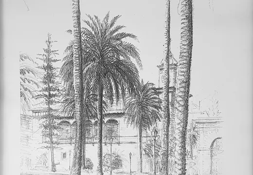 Pen Drawing of Palms and a Tower