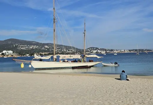 Owl 1909 at Son Maties Beach