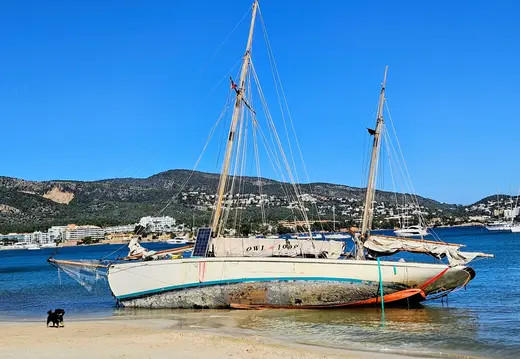 Owl 1909 Stranded at Son Maties