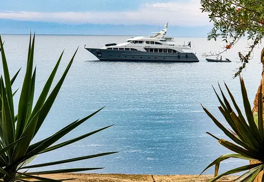 Motor Yacht Gerahmt von Coastal Plants