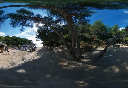 Baia di sabbia ombreggiata alla spiaggia di Cala Vinya