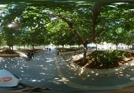 Shaded Square in Palma