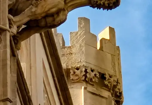 Doccione a forma di drago alla Llotja di Palma