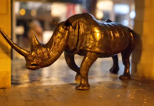 Scultura di un rinoceronte illuminata di luce dorata nella notte