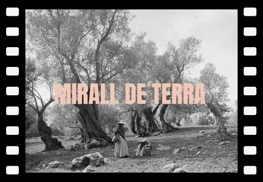 Mirall de terra